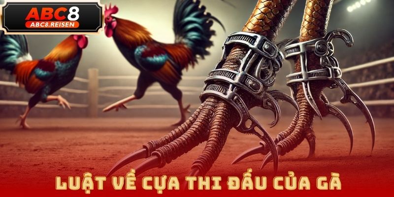 Luật đá gà cựa sắt chi tiết tại ABC8 – Quy định, cách chơi & mẹo thắng lớn 2 Luật đá gà cựa sắt