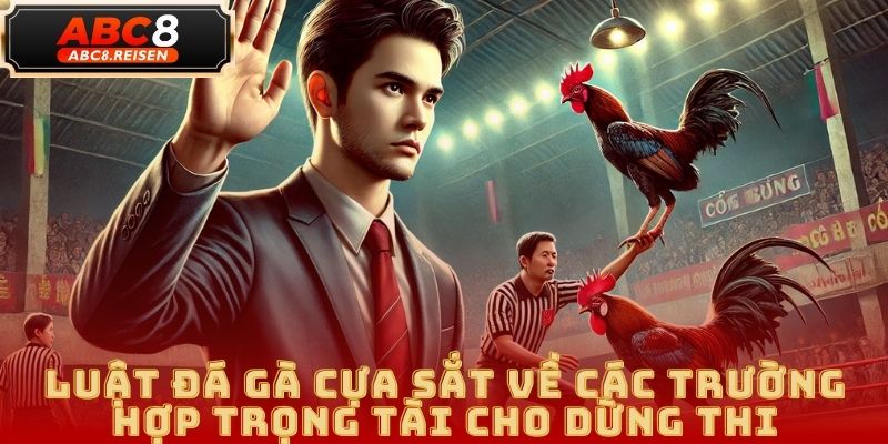 Luật đá gà cựa sắt chi tiết tại ABC8 – Quy định, cách chơi & mẹo thắng lớn 3 Luật đá gà cựa sắt